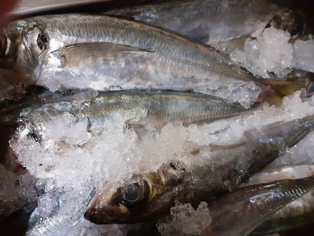 https://www.tripadvisor.pt/Restaurant_Review-g656856-d4341987-Reviews-A_Transmontana-Costa_da_Caparica_Setubal_District_Alentejo.html