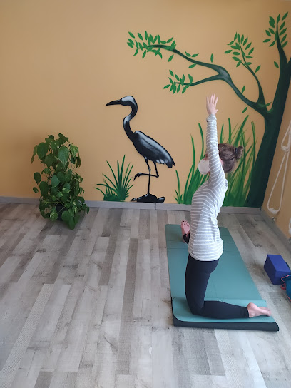 Centro de yoga, Yoga Calma
