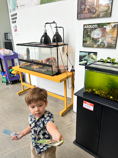 Science Academy «The Living Arts & Science Center», reviews and photos, 362 N Martin Luther King Blvd, Lexington, KY 40508, USA