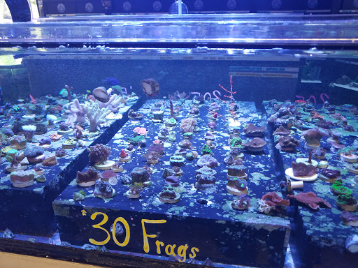 Tropical Fish Store «Premier Aquatics», reviews and photos, 1801 Roswell Rd, Marietta, GA 30062, USA