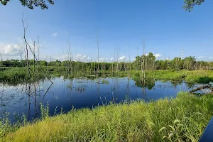 Orland Park Nature Center image