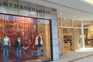 Anthropologie image