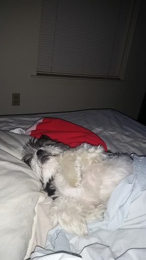 Shopping Mall «Morris Hills Shopping Center», reviews and photos, 3035-3189 US-46, Parsippany, NJ 07054, USA