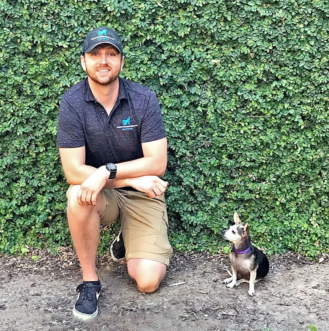 JTS Dog Training - Sacramento Dog Trainer