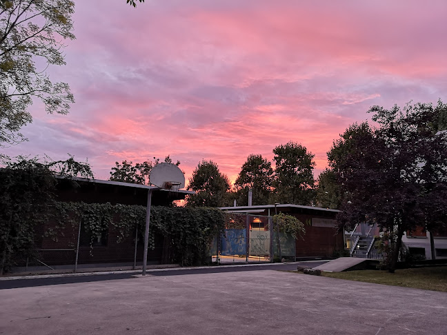 Kommentare und Rezensionen über Skatepark Allschwil