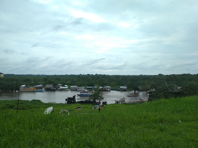 Opiniones de Mercado Mayorista y Minorista de Belen en Iquitos - Mercado