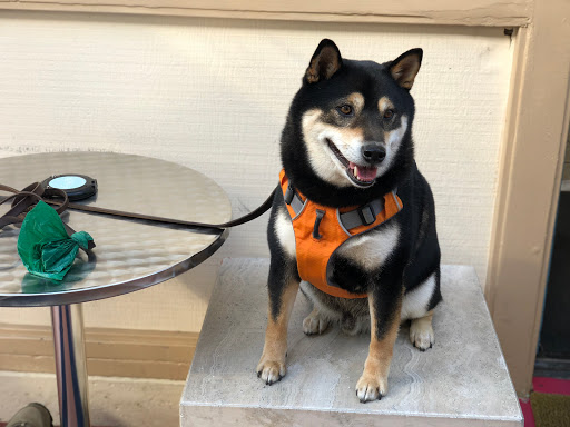 Dessert Shop «Aqua Club Dessert Cafe», reviews and photos, 440 San Mateo Ave, San Bruno, CA 94066, USA