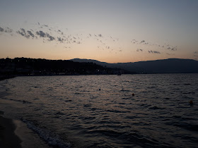 Lido il Gabbiano