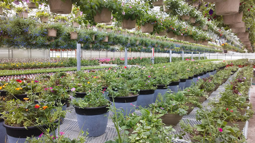 Mitchell Greenhouses image 2