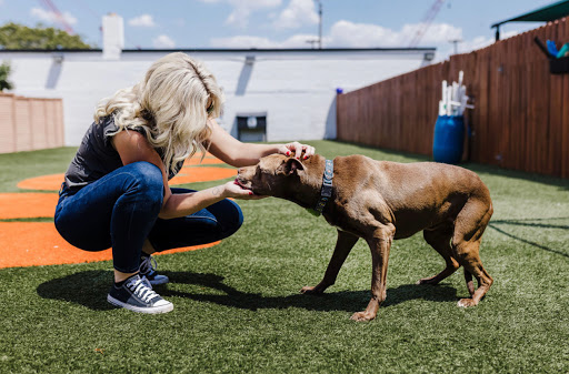 Insurance Agency «Melissa Carlton - State Farm Insurance Agent», reviews and photos