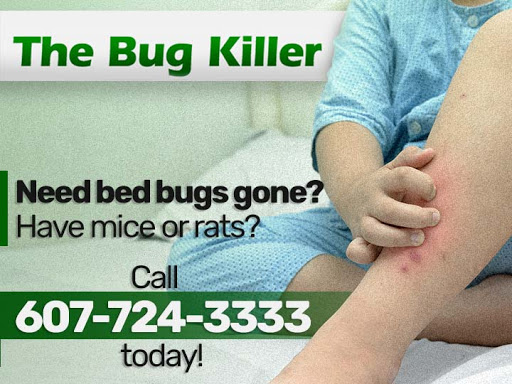 The Bug Killer image 8