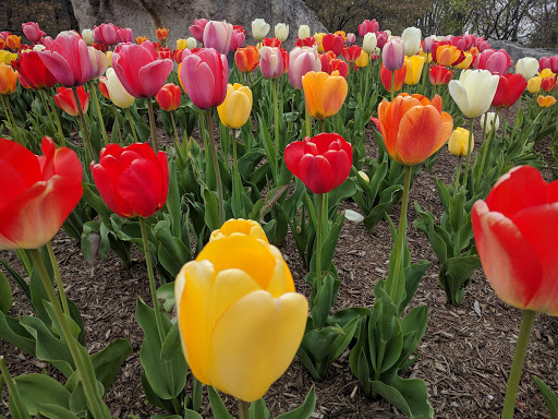 State Park «White River State Park», reviews and photos, 801 W Washington St, Indianapolis, IN 46204, USA