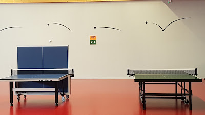 Tennis de Table - Cercle Aloysia Rosheim à Rosheim
