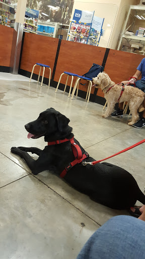 Pet Supply Store «PetSmart», reviews and photos, 1040 Cross Creek Dr, Saltillo, MS 38866, USA