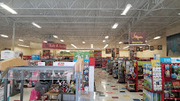 Petco - Photo 5 - Car repair in Roswell, GA, Atlanta