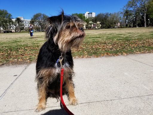 Memorial Park «Memorial Park», reviews and photos, 1620 Riverside Ave, Jacksonville, FL 32204, USA