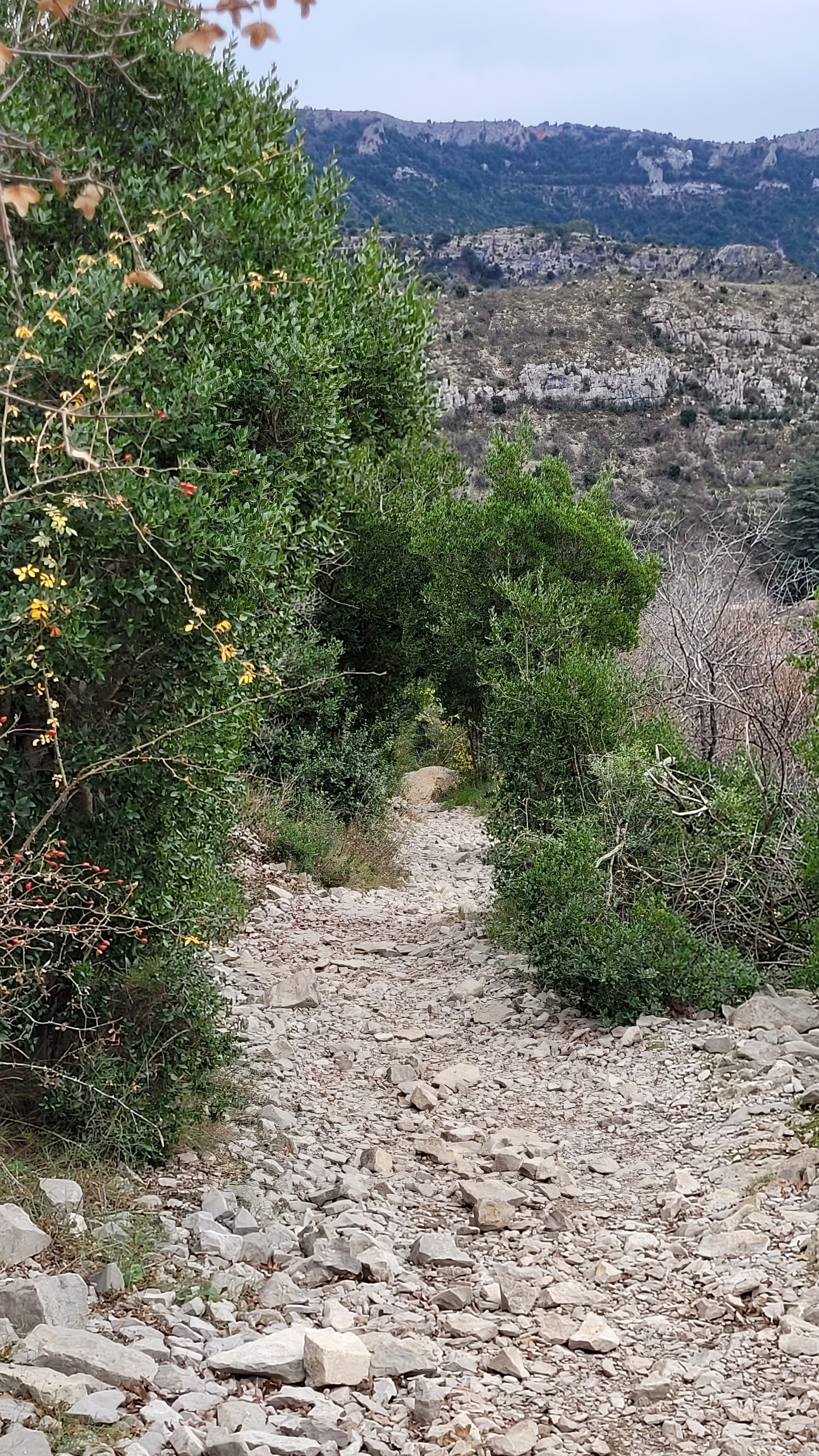 Photo n° 28 de l'avis de Salopette.o fait le 28/12/2022 à 18:35