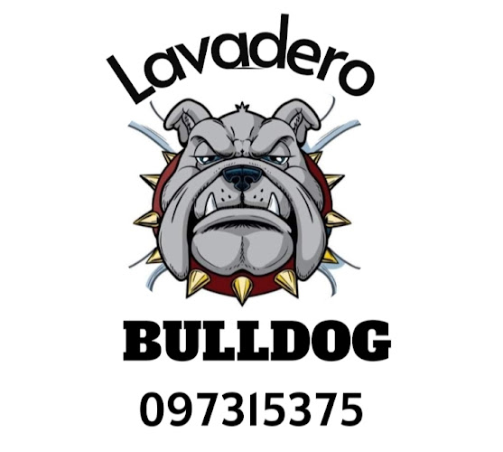 Opiniones de Lavadero Bulldog en Ciudad del Plata - Servicio de lavado de coches