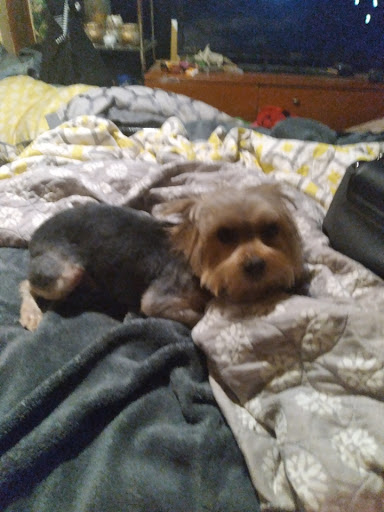 Pet Supply Store «PetSakes», reviews and photos, 1575 E Euclid Ave, Des Moines, IA 50316, USA