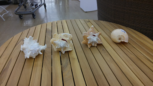 Department Store «HomeGoods», reviews and photos, 10 Washington St, Norwell, MA 02061, USA