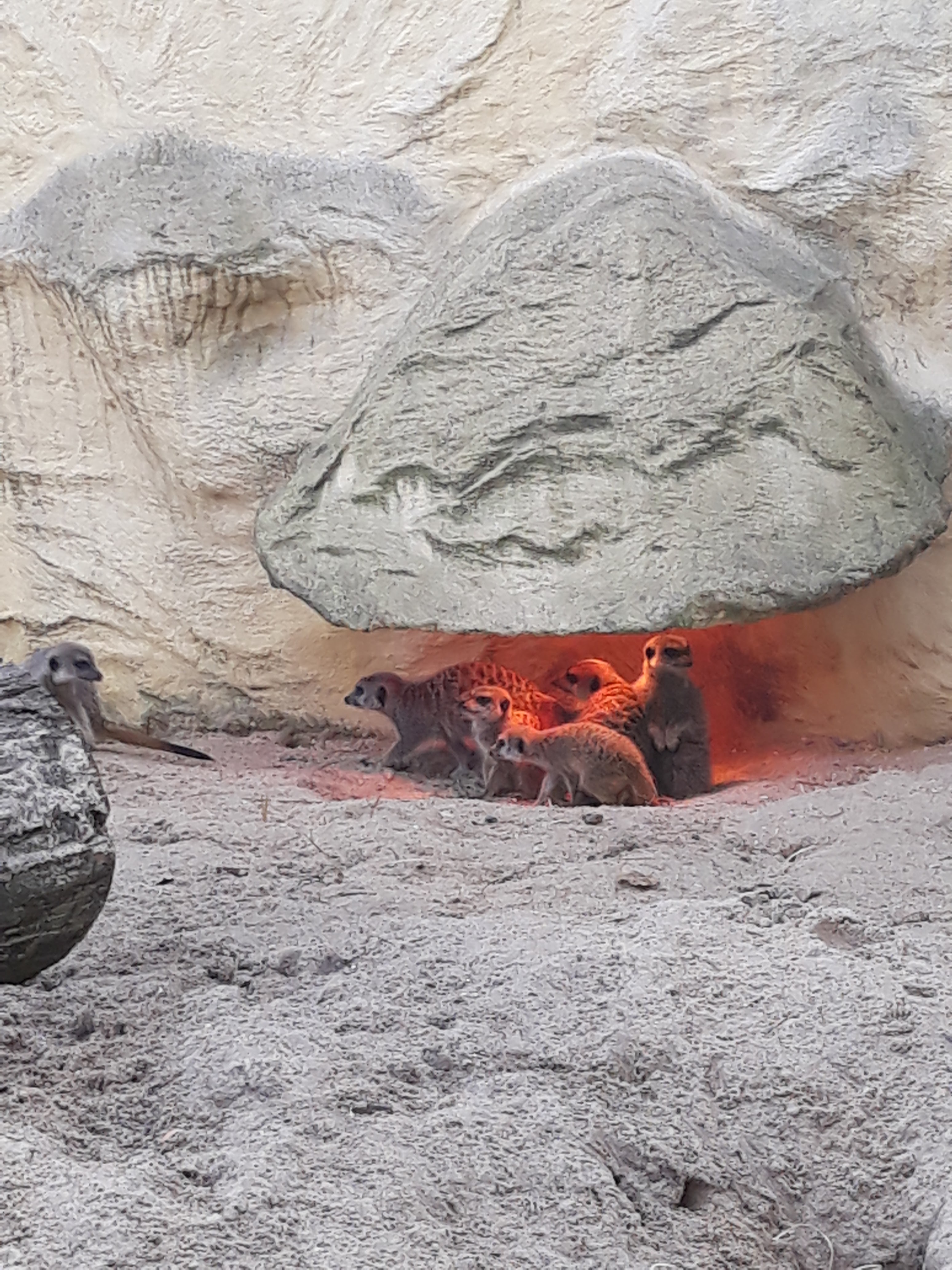 Photo n° 8 de l'avis de Priscillia.r fait le 18/02/2019 à 12:48