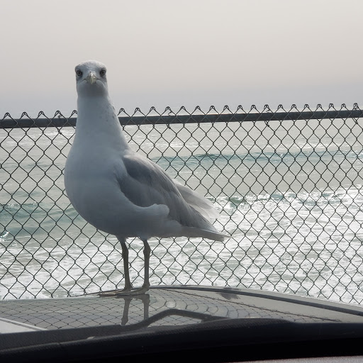 Casino «One Casino Square Shopping Center», reviews and photos, 393 Mile Rd, Wells, ME 04090, USA