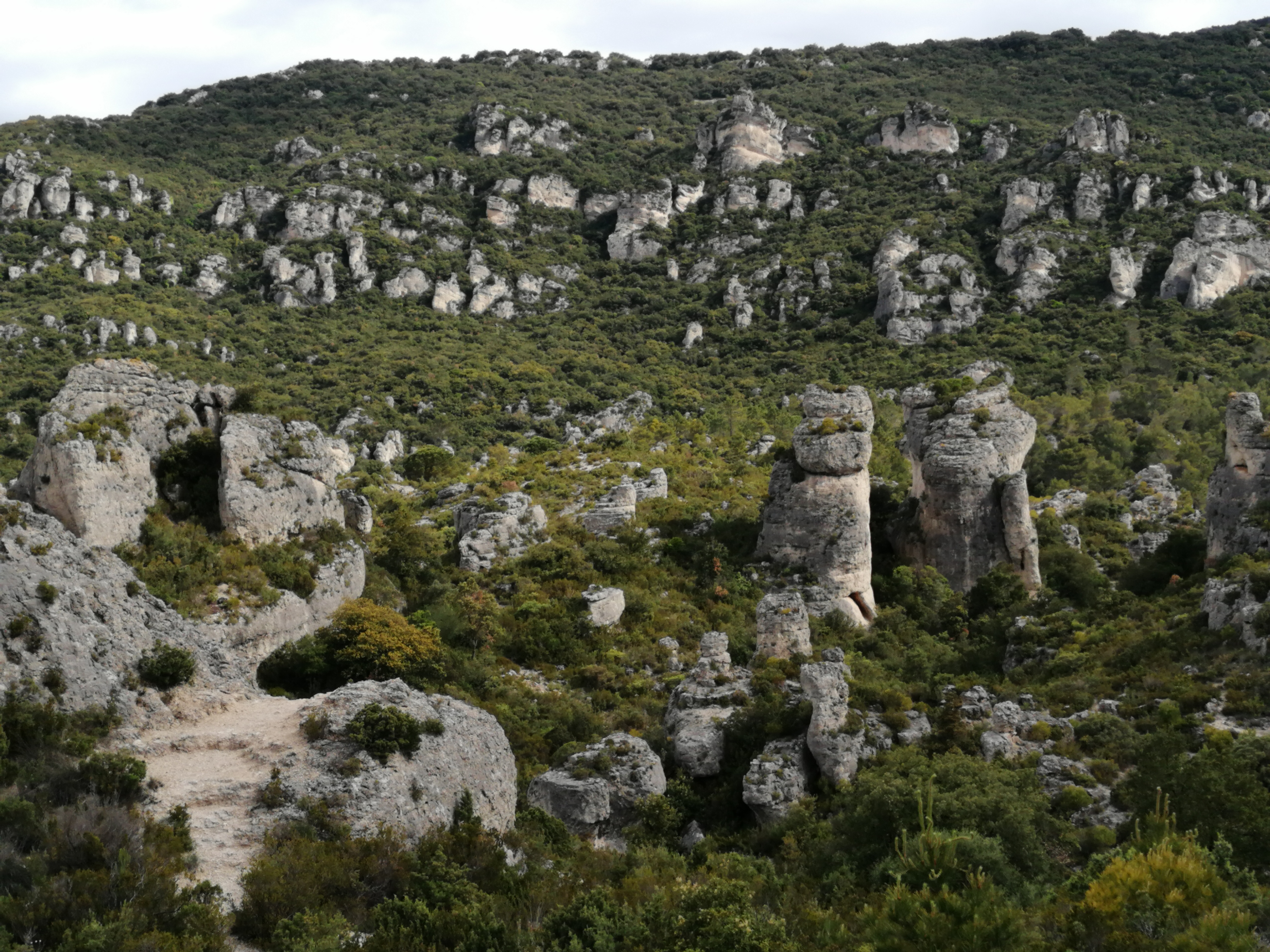 Photo n° 3 de l'avis de françoise.u fait le 02/06/2021 à 13:57