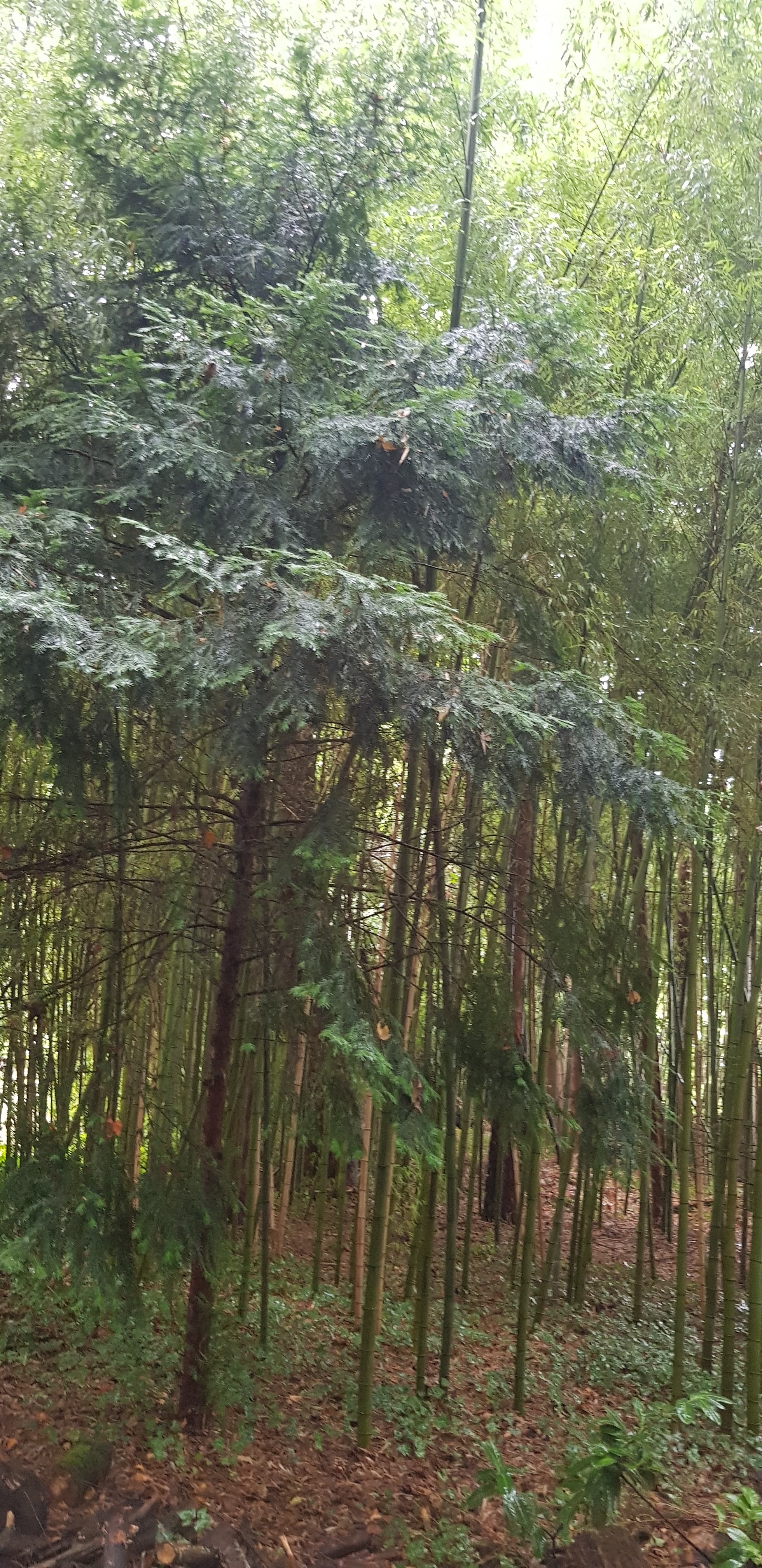 Photo n° 5 de l'avis de Celina.l fait le 18/09/2021 à 15:29