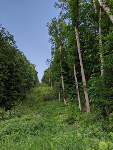 Nature Preserve «Sweedler and Thayer Preserves», reviews and photos, 10 Townline Rd, Ithaca, NY 14850, USA