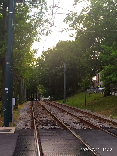 Park «Griggs Park», reviews and photos, 33 Griggs Rd, Brookline, MA 02446, USA