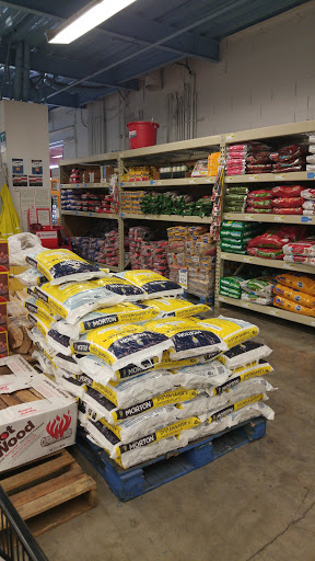 Supermarket «FoodMaxx», reviews and photos, 4461 Balfour Rd, Brentwood, CA 94513, USA