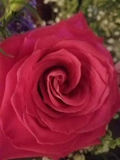 Florist «The Flower Gallery», reviews and photos, 10816 Sudley Manor Dr, Manassas, VA 20109, USA