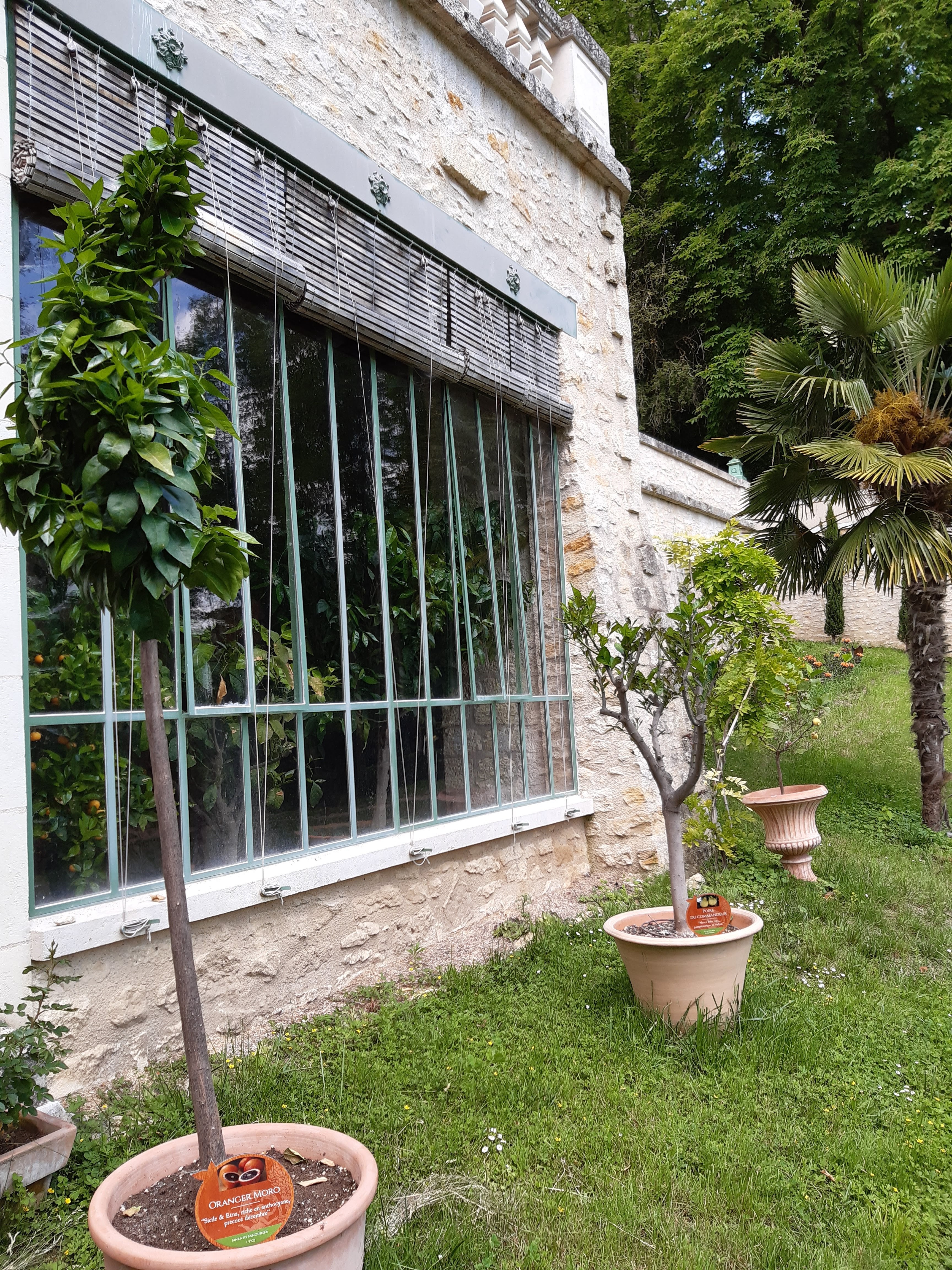 Photo n° 13 de l'avis de Patrice.a fait le 13/06/2021 à 16:03