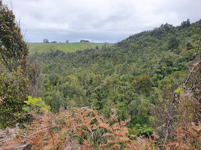 Comentarii opinii despre Wairenga/Bridal Veil Falls Car Park