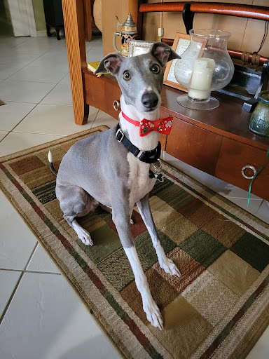 Pet Supply Store «PetSmart», reviews and photos, 5013 S Cleveland Ave, Fort Myers, FL 33907, USA