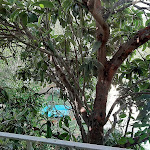 Photo n°5 de l'avis de Ghilian.a fait le 18/08/2022 à 15:36 sur le  Su Gologone Experience Hotel à Oliena