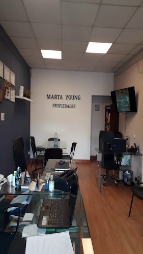 Opiniones de Marta Young Propiedades en Ciudad del Plata - Agencia inmobiliaria