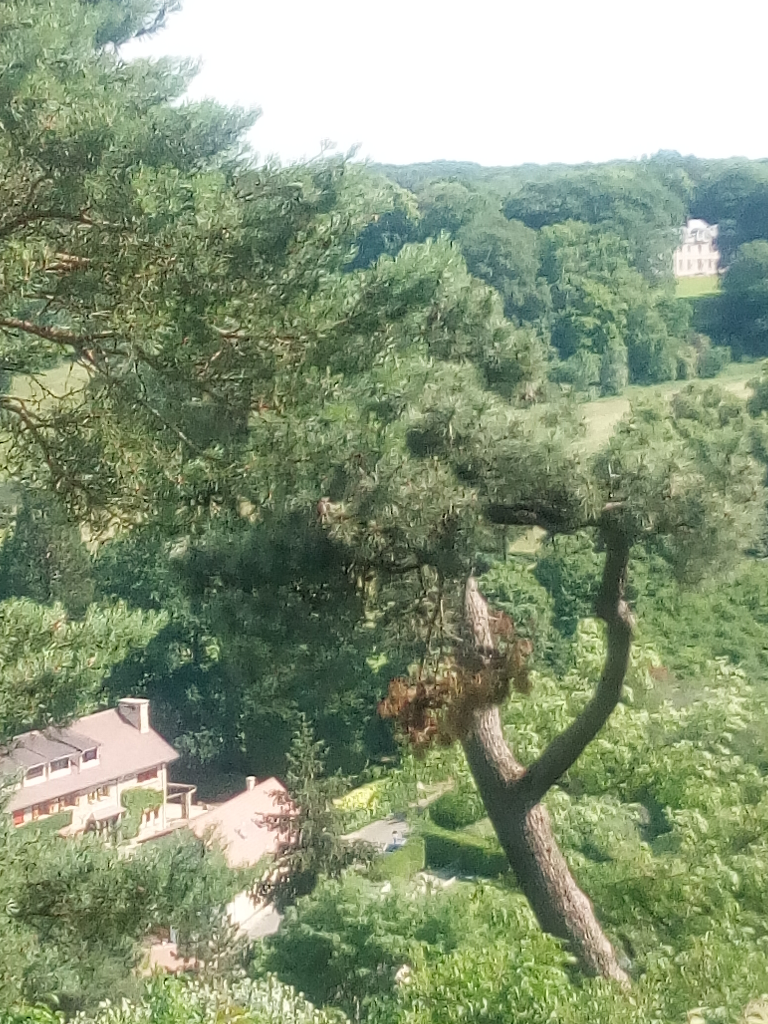 Photo n° 5 de l'avis de piacentino.a fait le 03/06/2018 à 18:27