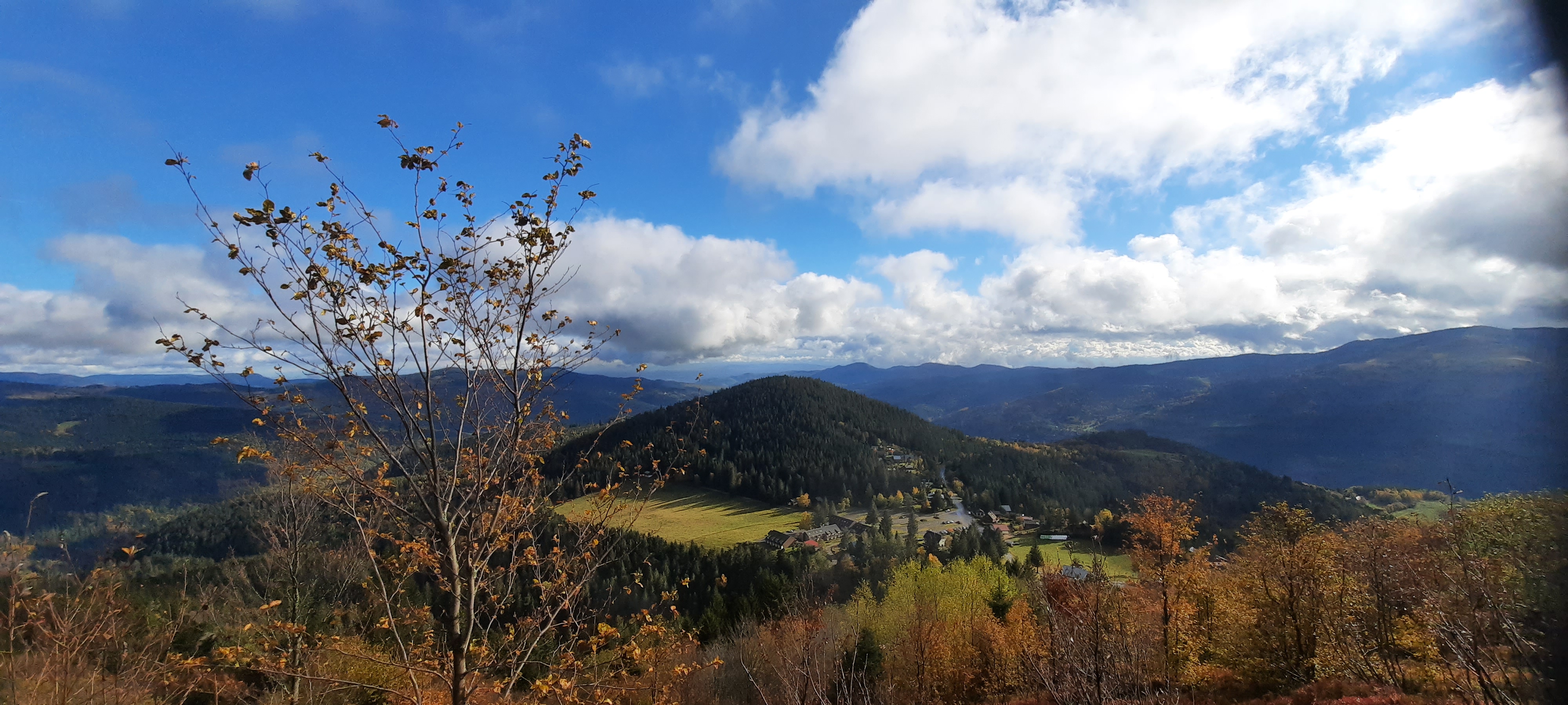 Photo n° 2 de l'avis de Claude.h fait le 24/10/2020 à 14:19
