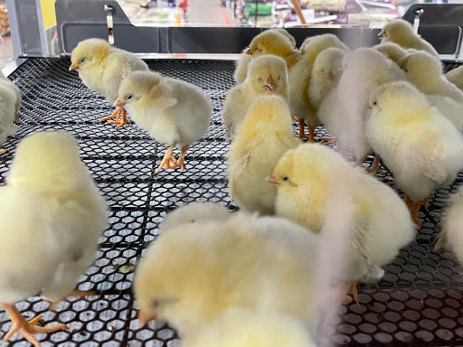 Home Improvement Store «Tractor Supply Co.», reviews and photos, 454 Hamlin Hwy #100a, Lake Ariel, PA 18436, USA