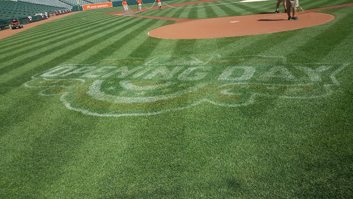 Baseball Field «Oriole Park at Camden Yards», reviews and photos, 333 W Camden St, Baltimore, MD 21201, USA