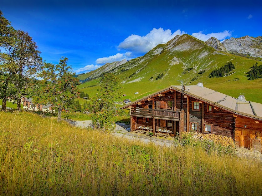 Chalet Capieu - Le Barn à Manigod