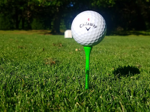 Golf Course «Mint Valley Golf Course», reviews and photos, 4002 Pennsylvania St, Longview, WA 98632, USA