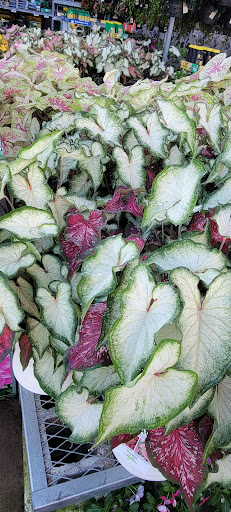 Home Improvement Store «The Home Depot», reviews and photos, 1510 Ring Rd, Elizabethtown, KY 42701, USA