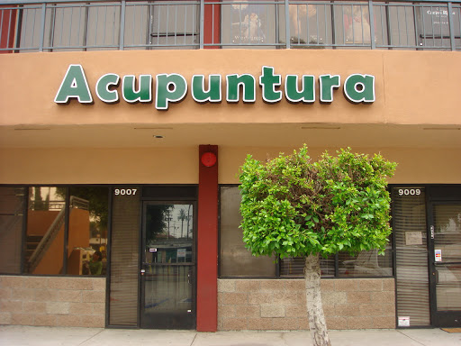 Natuever Acupuncture