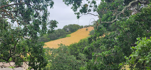 Highlands of Marin image