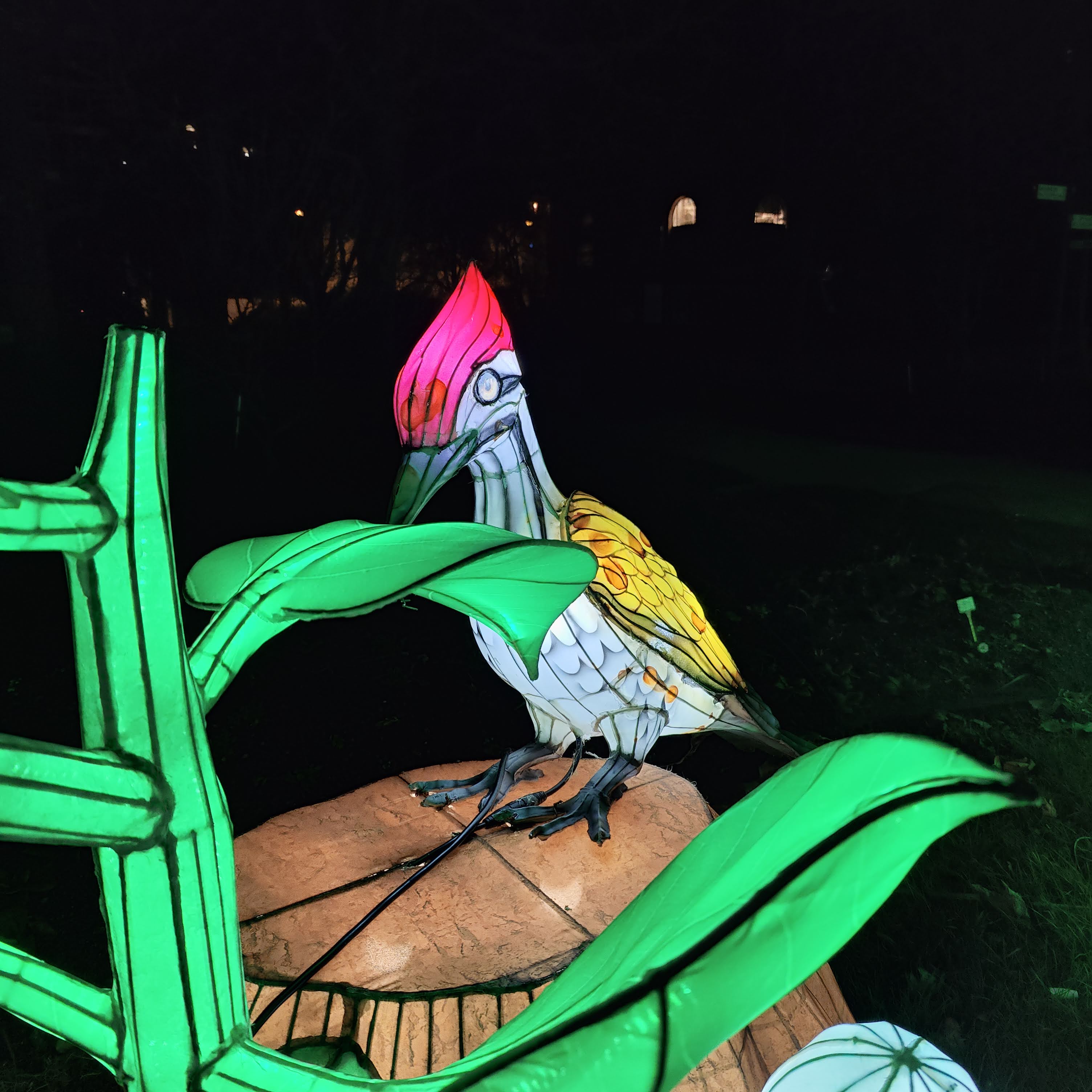 Photo n° 48 de l'avis de Mathieu.H fait le 31/12/2018 à 20:46