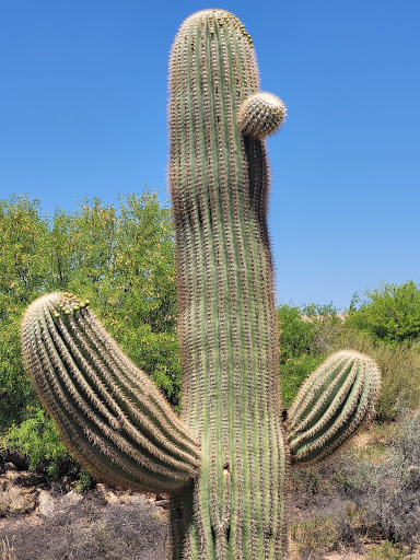 Golf Club «Troon North Golf Club», reviews and photos, 10320 E Dynamite Blvd, Scottsdale, AZ 85262, USA