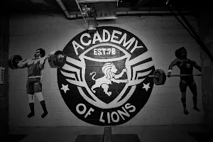 Academy of Lions image