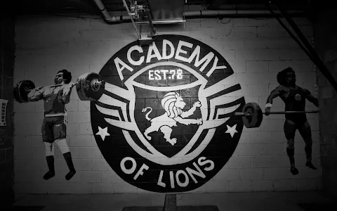 Academy of Lions image